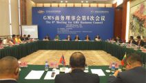 刘金鑫在GMS商务理事会第6次会议上发言